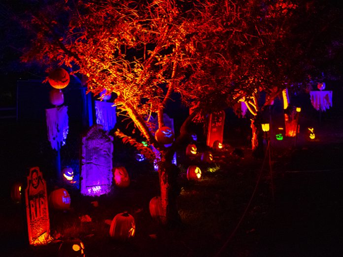 Nights Of The Jack Halloween Experience Brought to Life by ADJ — TPi